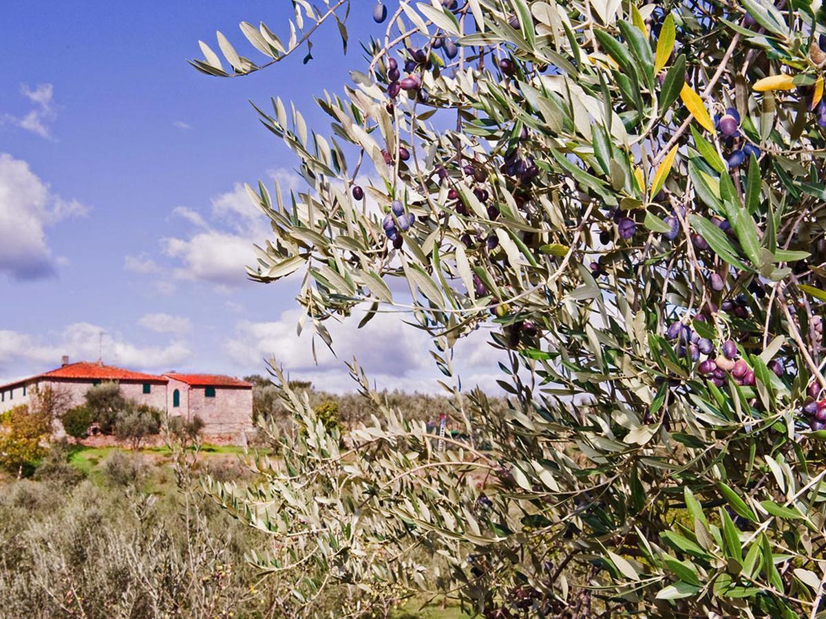 Belvilla By Oyo La Casa Dei Cinque Olivi Quarrata Extérieur photo
